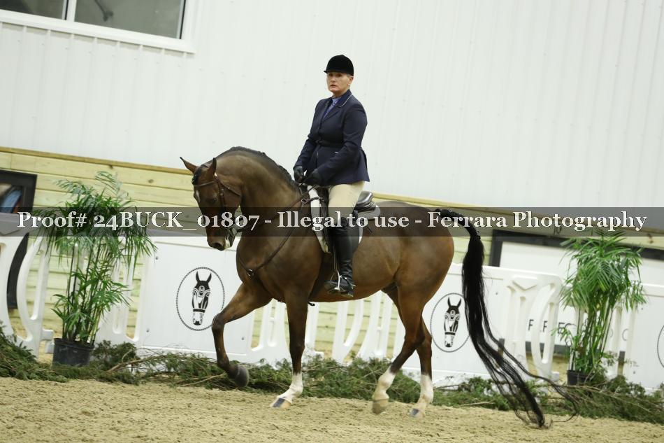 Proof 24BUCK_01807