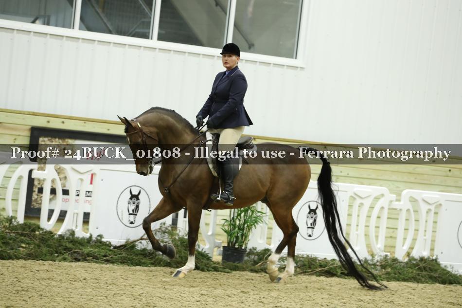 Proof 24BUCK_01808