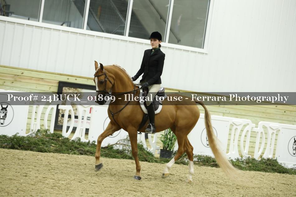 Proof 24BUCK_01809