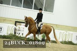 24BUCK_01809 proof