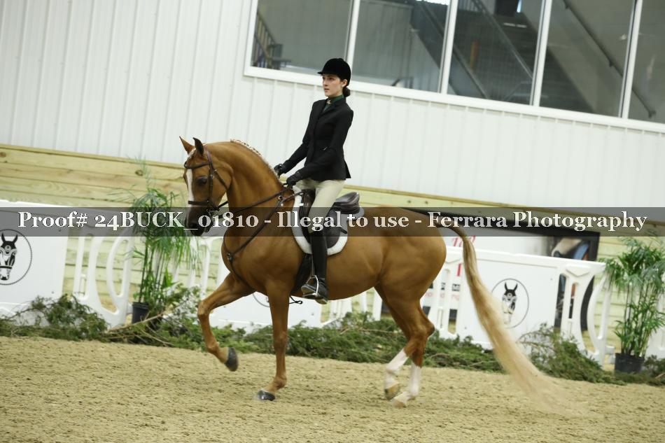 Proof 24BUCK_01810