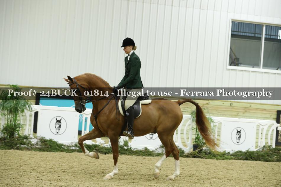 Proof 24BUCK_01814