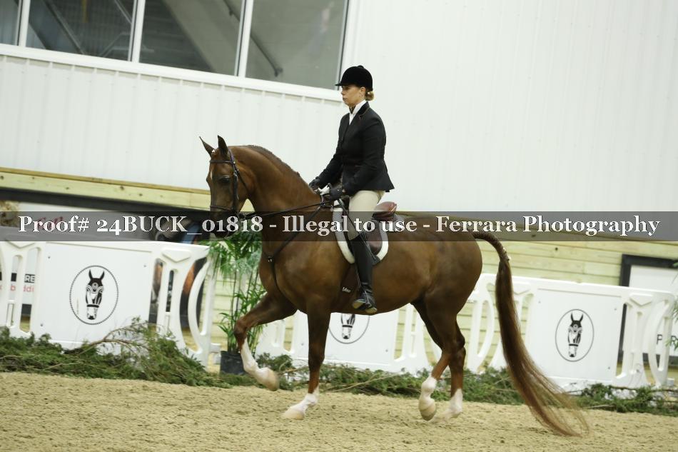 Proof 24BUCK_01818