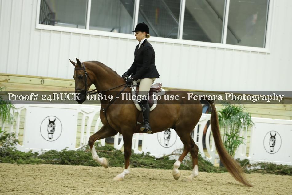 Proof 24BUCK_01819