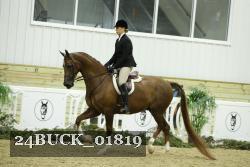 24BUCK_01819 proof