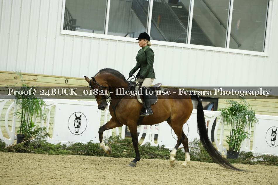 Proof 24BUCK_01821
