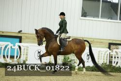 24BUCK_01822 proof