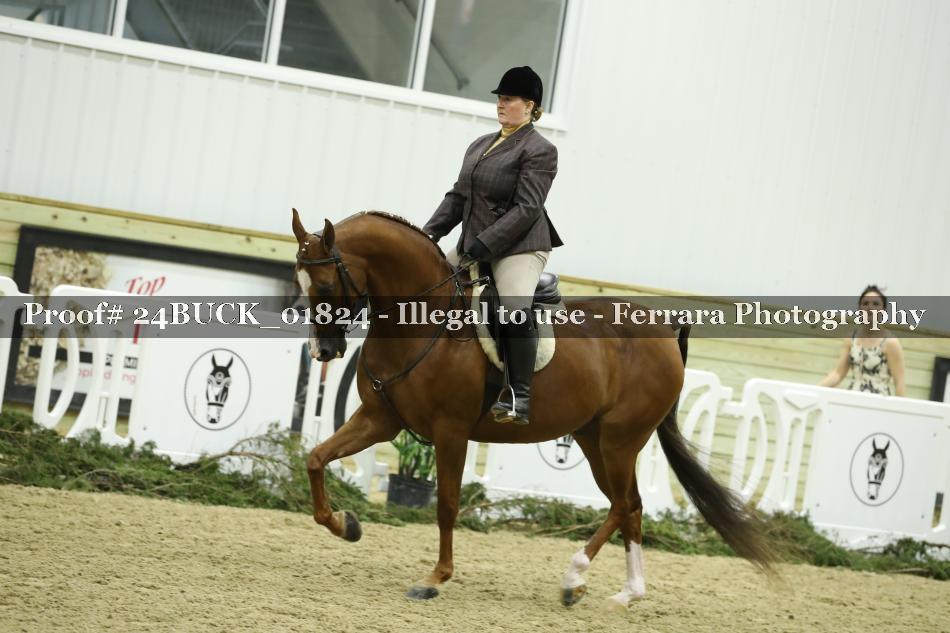 Proof 24BUCK_01824