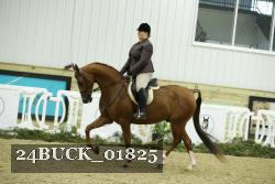 24BUCK_01825 proof