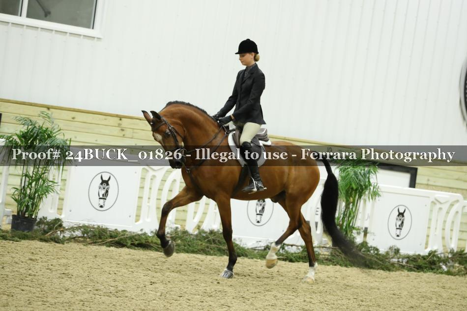 Proof 24BUCK_01826