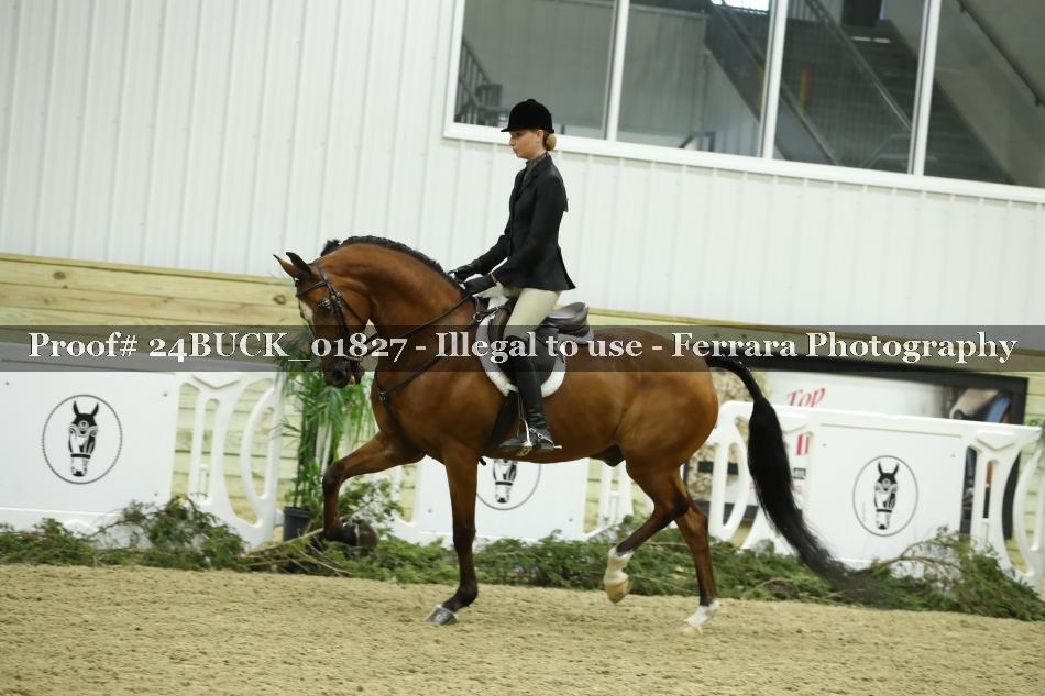Proof 24BUCK_01827