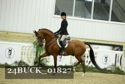 24BUCK_01827 proof