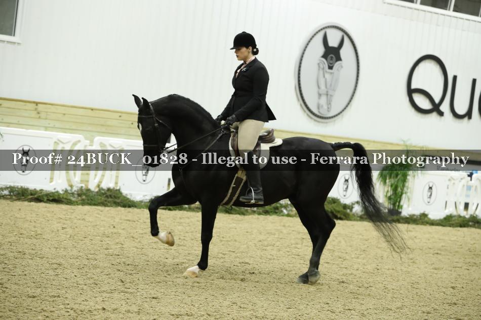 Proof 24BUCK_01828