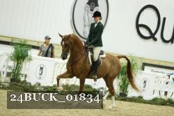 24BUCK_01834 proof