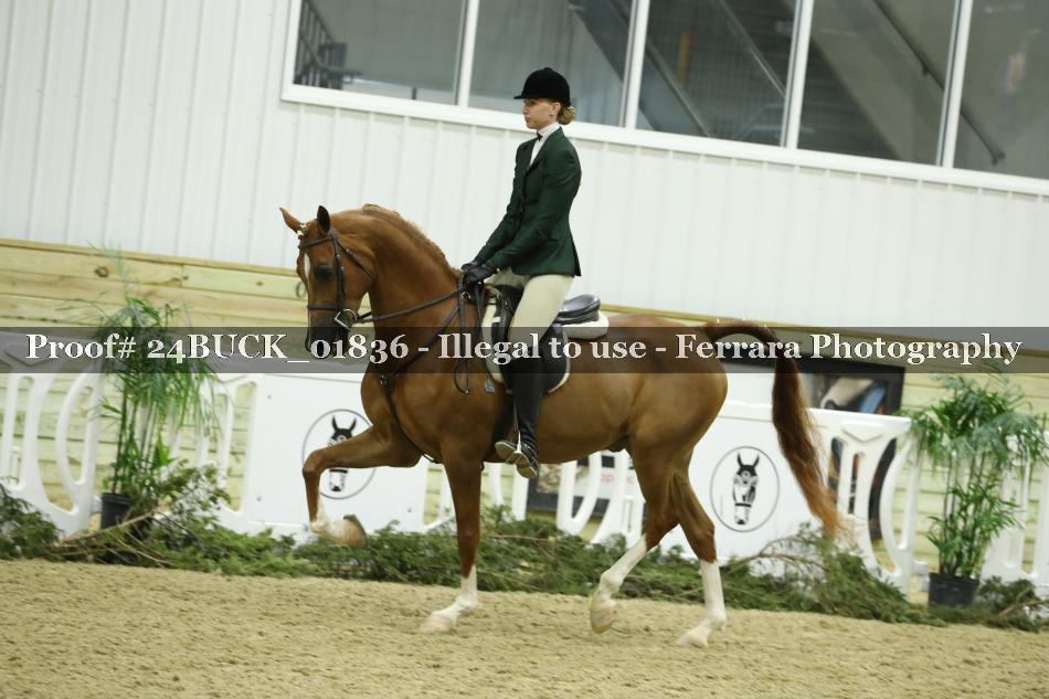 Proof 24BUCK_01836