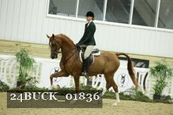 24BUCK_01836 proof