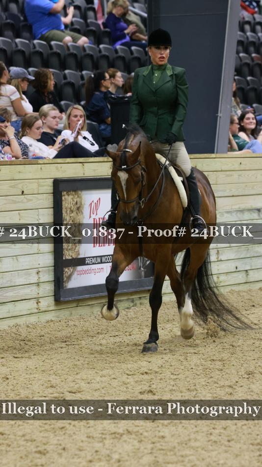 Proof 24BUCK_01837