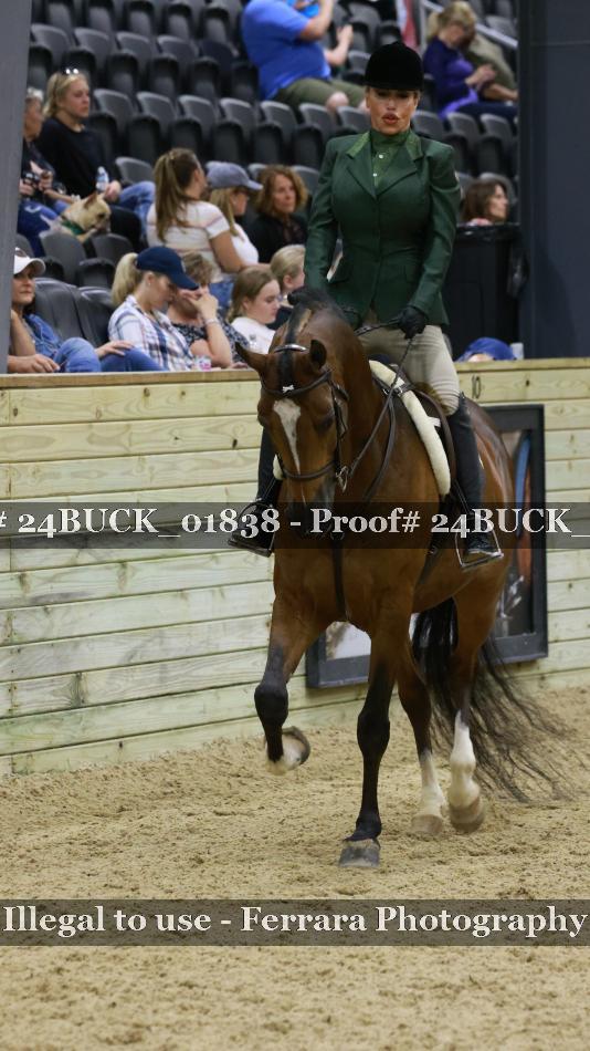 Proof 24BUCK_01838