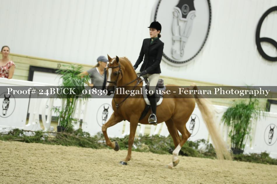 Proof 24BUCK_01839