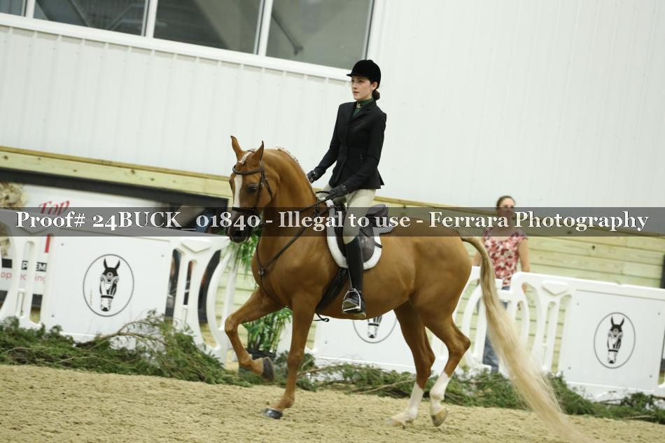 Proof 24BUCK_01840