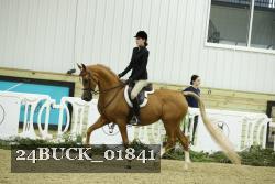 24BUCK_01841 proof