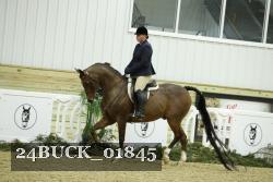 24BUCK_01845 proof