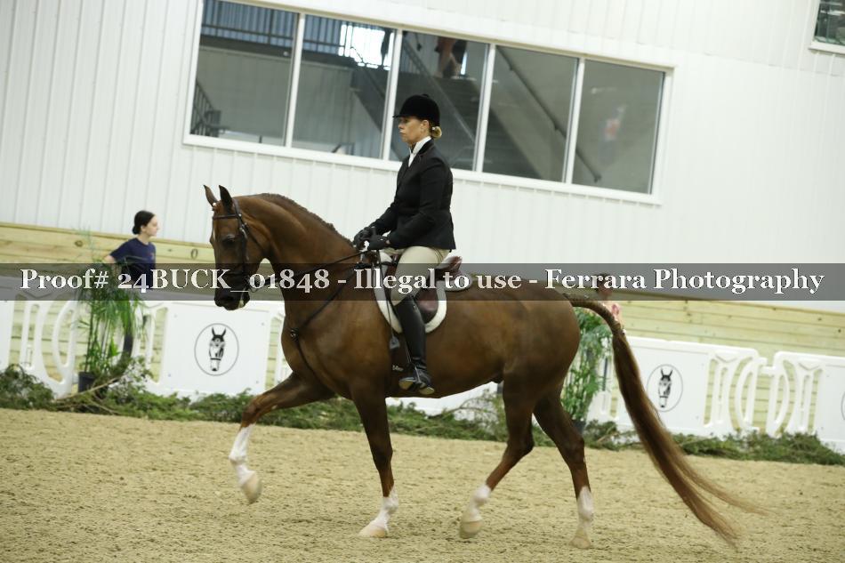 Proof 24BUCK_01848