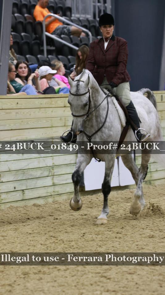 Proof 24BUCK_01849