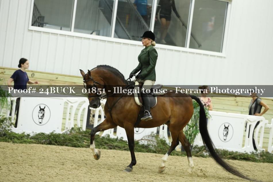 Proof 24BUCK_01851