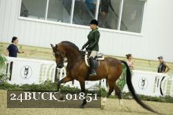 24BUCK_01851 proof