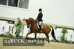 24BUCK_01852 proof