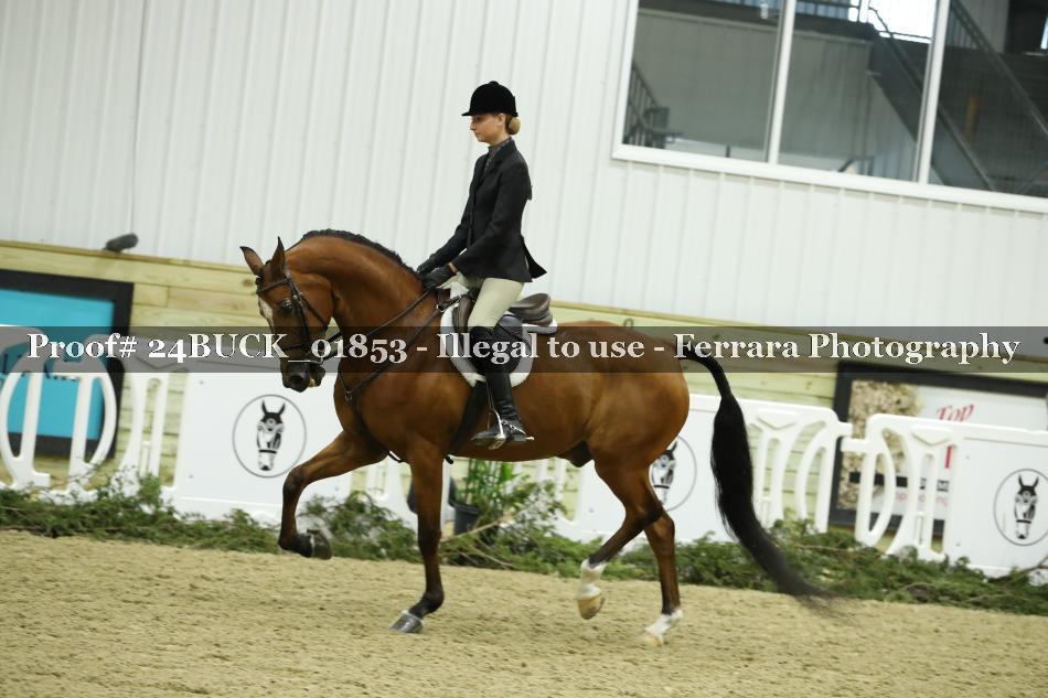 Proof 24BUCK_01853