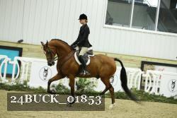 24BUCK_01853 proof