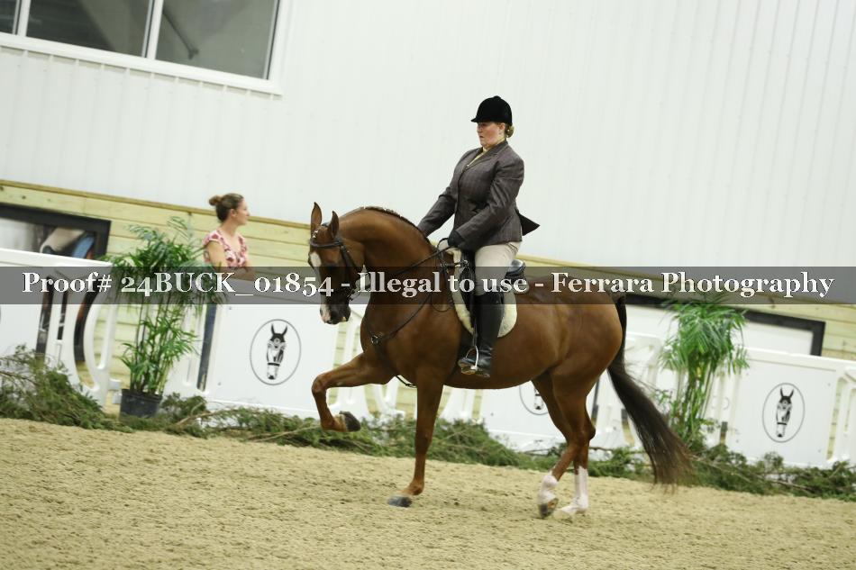Proof 24BUCK_01854