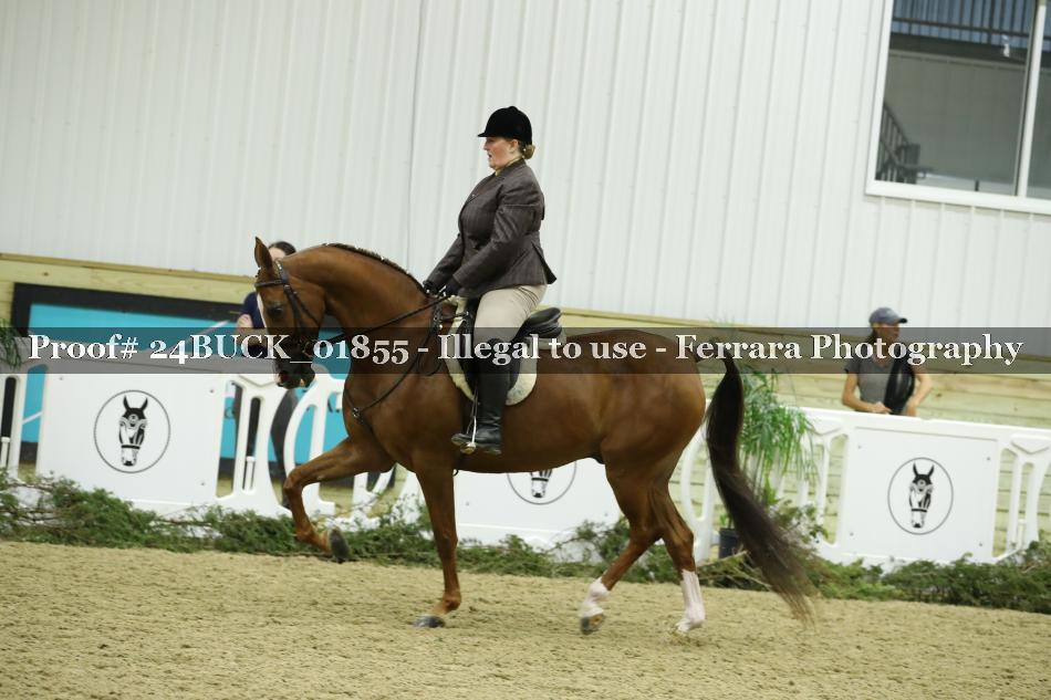Proof 24BUCK_01855