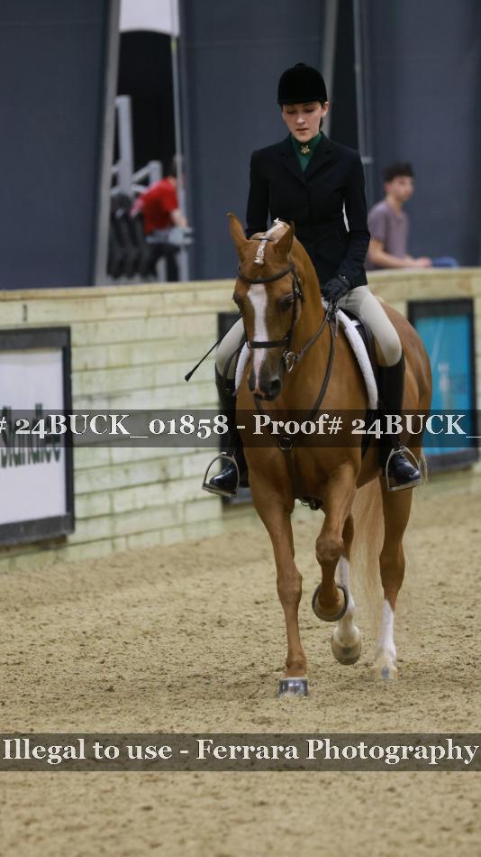 Proof 24BUCK_01858