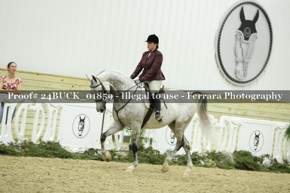 Proof 24BUCK_01859