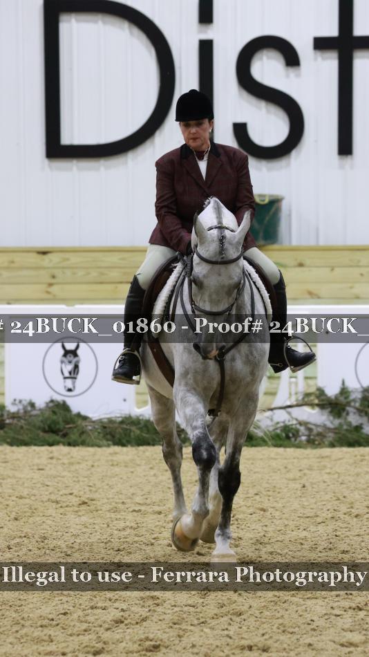 Proof 24BUCK_01860