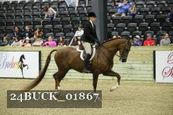 24BUCK_01867 proof