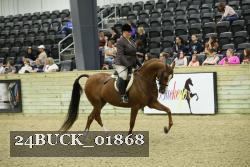 24BUCK_01868 proof
