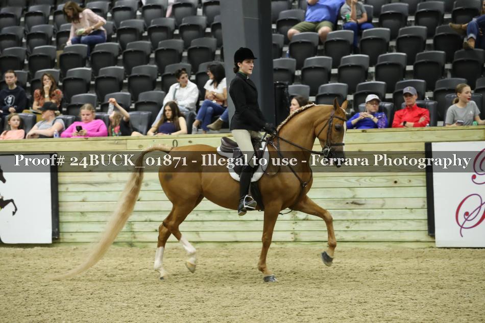 Proof 24BUCK_01871