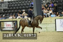 24BUCK_01872 proof