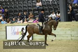 24BUCK_01875 proof
