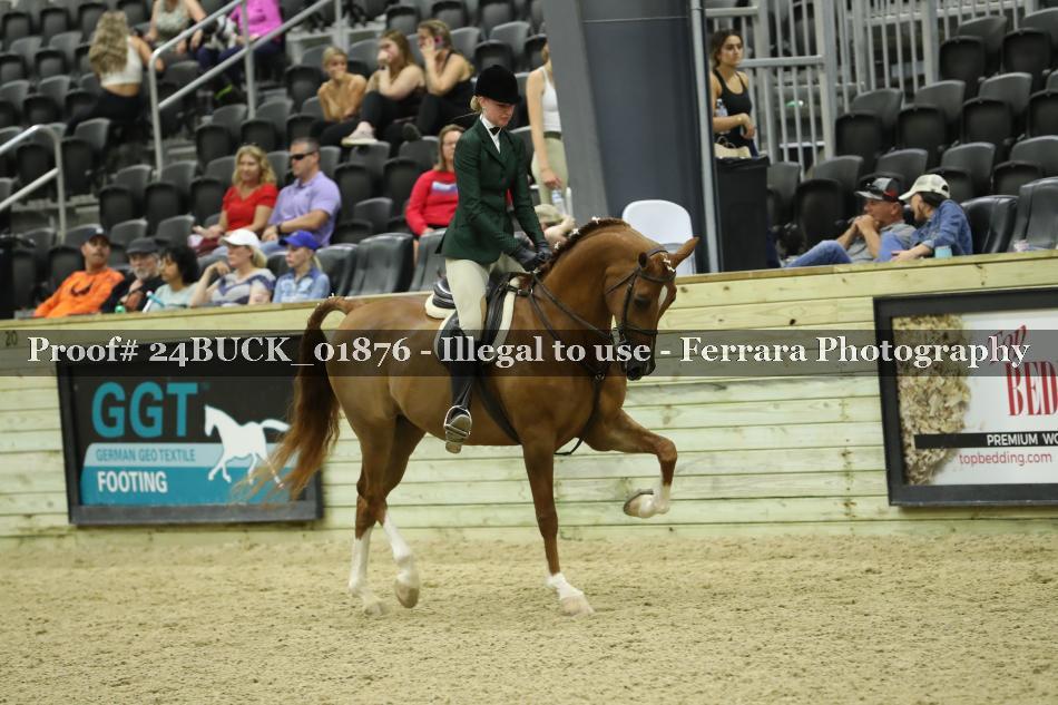 Proof 24BUCK_01876