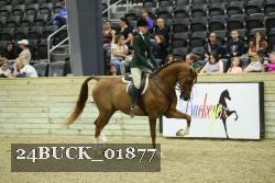 24BUCK_01877 proof