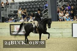 24BUCK_01878 proof