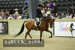 24BUCK_01881 proof