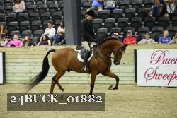 24BUCK_01882 proof