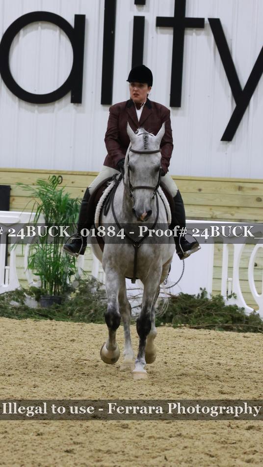 Proof 24BUCK_01884
