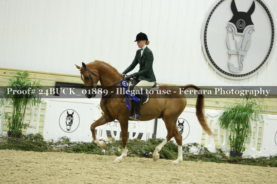 Proof 24BUCK_01889